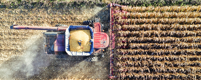 Qu&rsquo;est-ce qu&rsquo;un agriculteur ou chef d'exploitation agricole ?&nbsp;